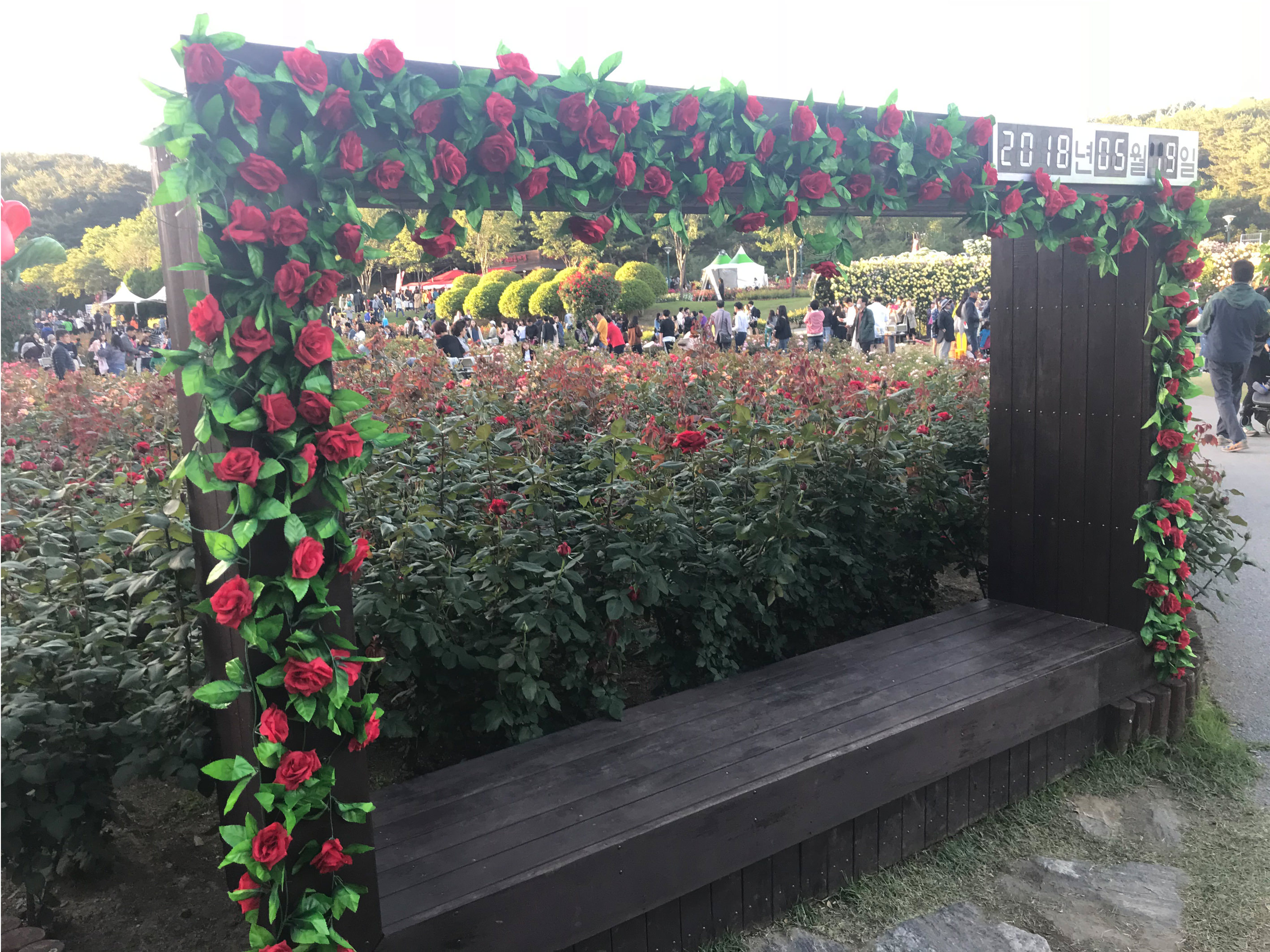 快来一张合照吧