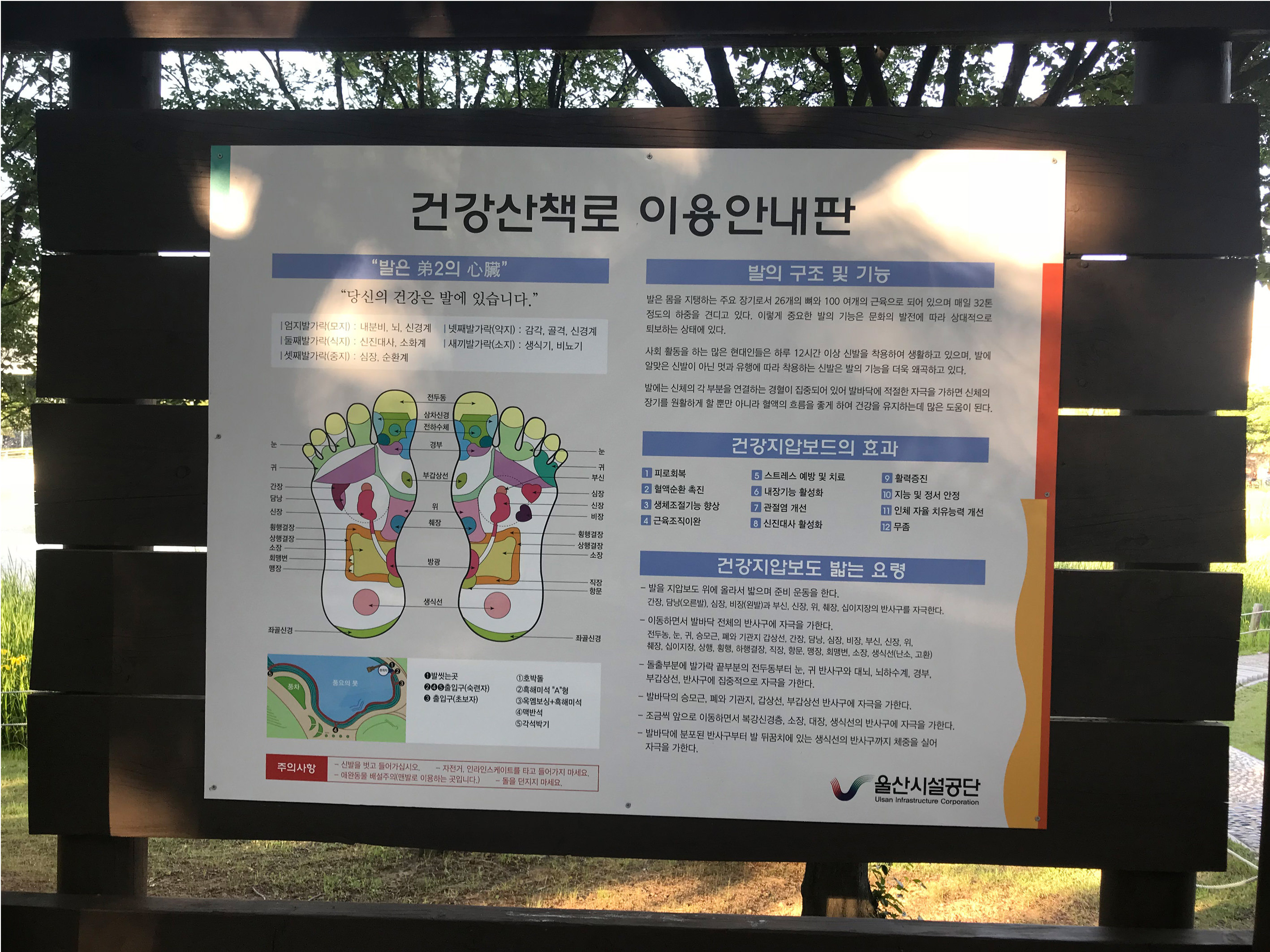 健康散步路使用指南