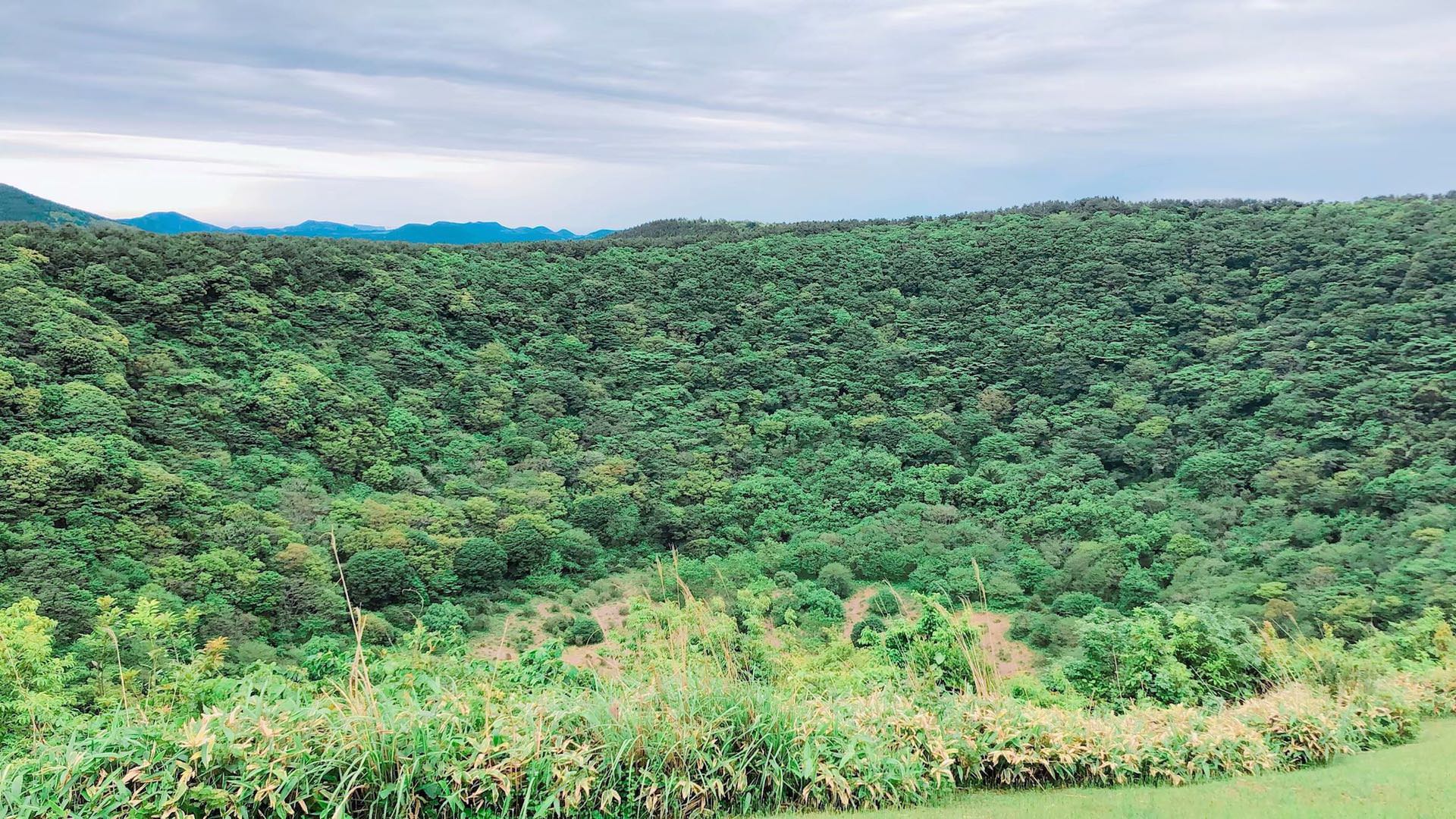 山君不离的火山口