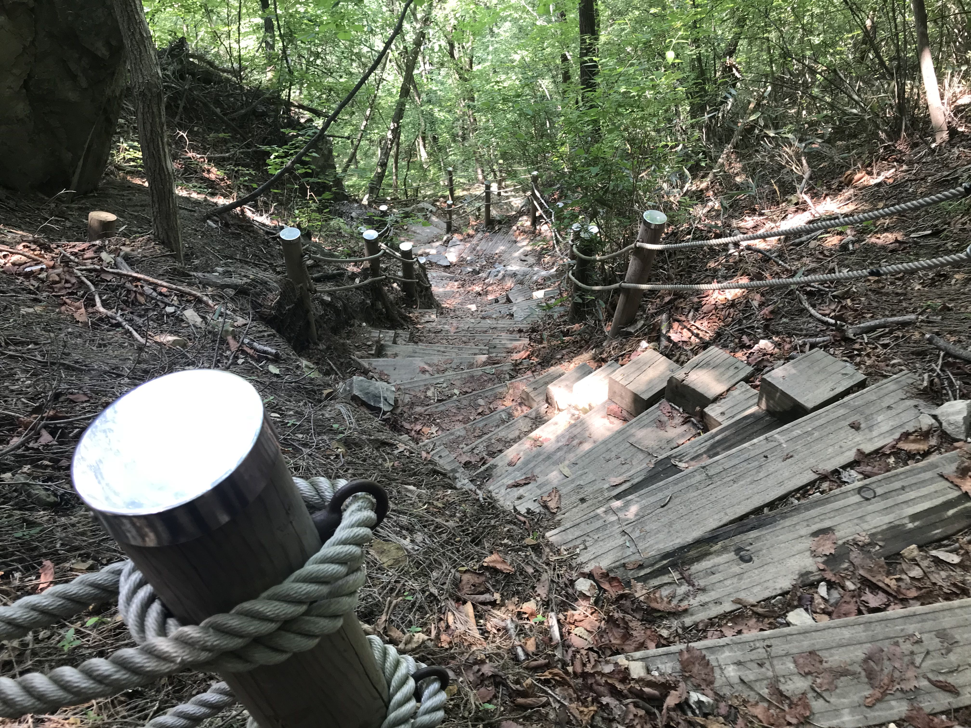 下山的路也不好走