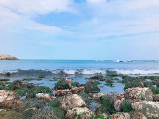 我想和你去看看艮绝岬