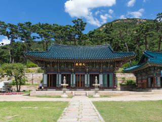 在这里可以进行寺庙体验