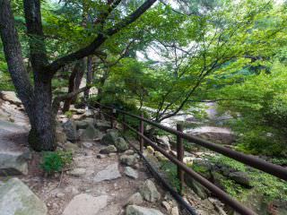 沿着缓缓流淌的小溪散步