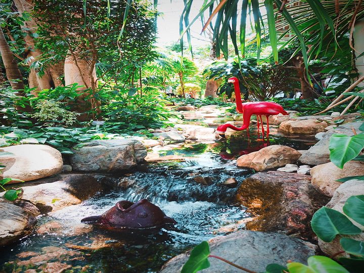 苑内环绕的小溪