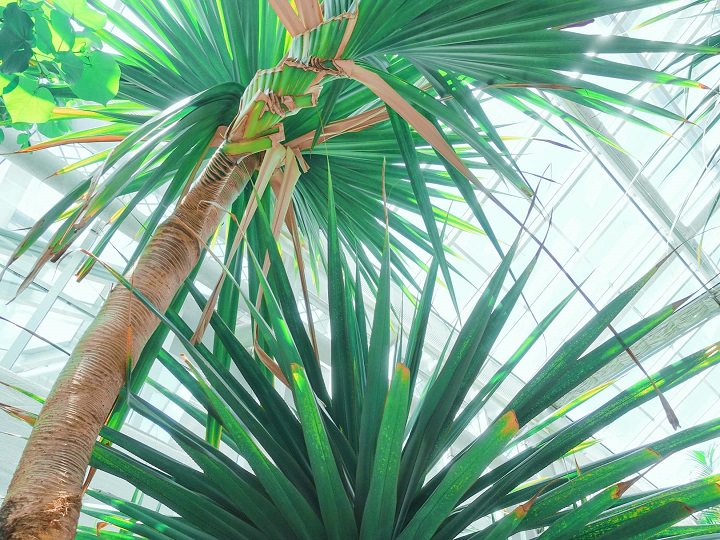 内部一景,里面空气非常好,带着雨后泥土的味道,沁人心脾。