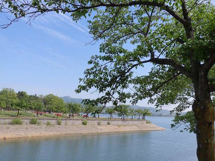 普门湖散步路,湖面波光粼粼,微风吹过,何不惬意?