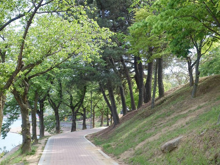 环绕着普门湖的散步路和自行车路也成为了徒步旅行的热门选择。