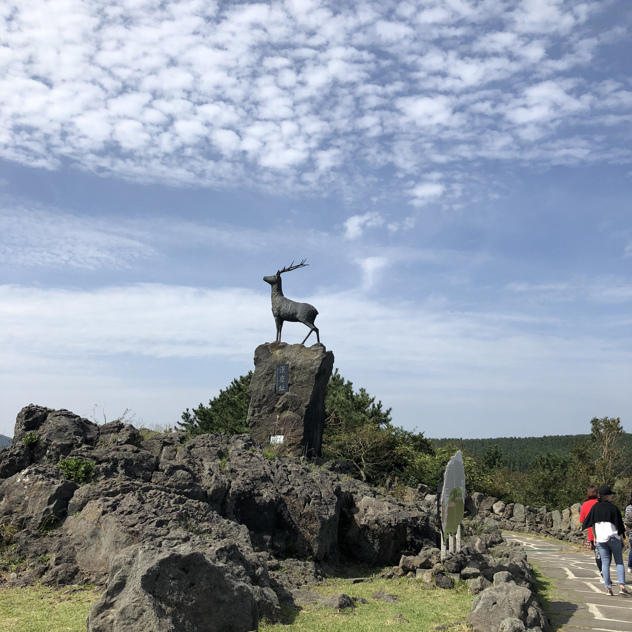 山君不离 鹿回头