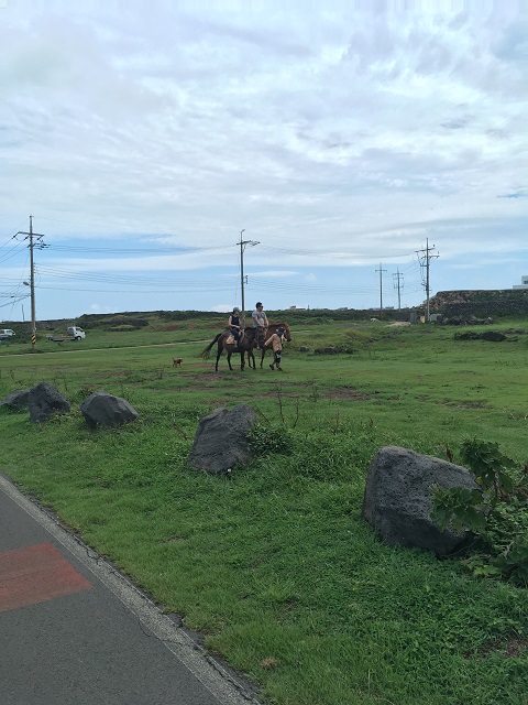 蓝天,白云,草地,马儿