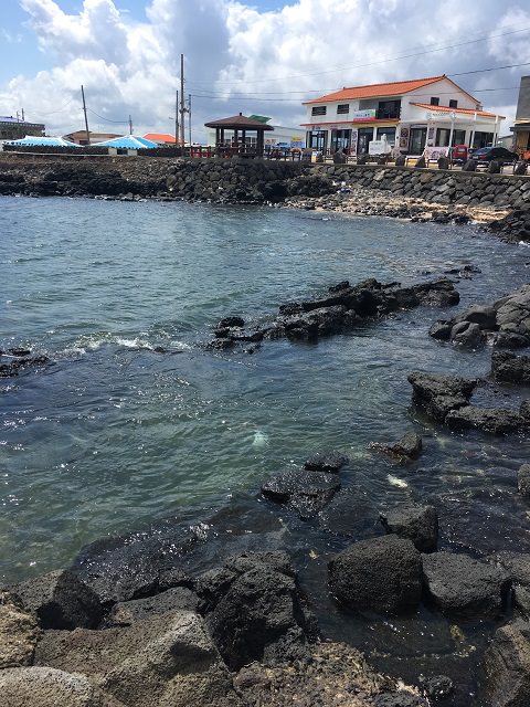 在阳光的照耀下,磷光微闪的海水