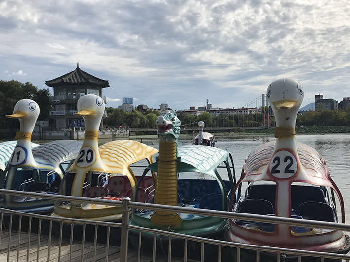 很可惜没有看到爱豆坐过的21号鸭子船