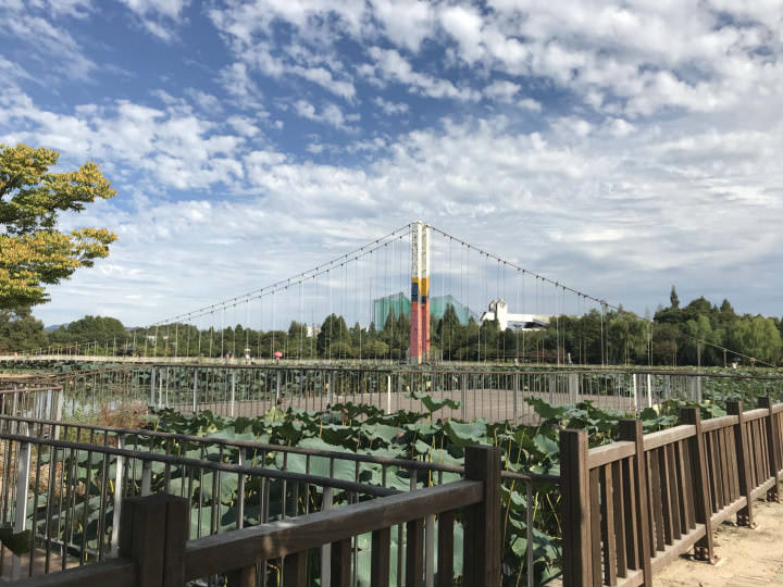 横跨德津湖的莲花桥