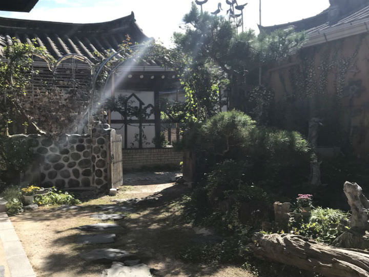 一觉醒来,阳光正好