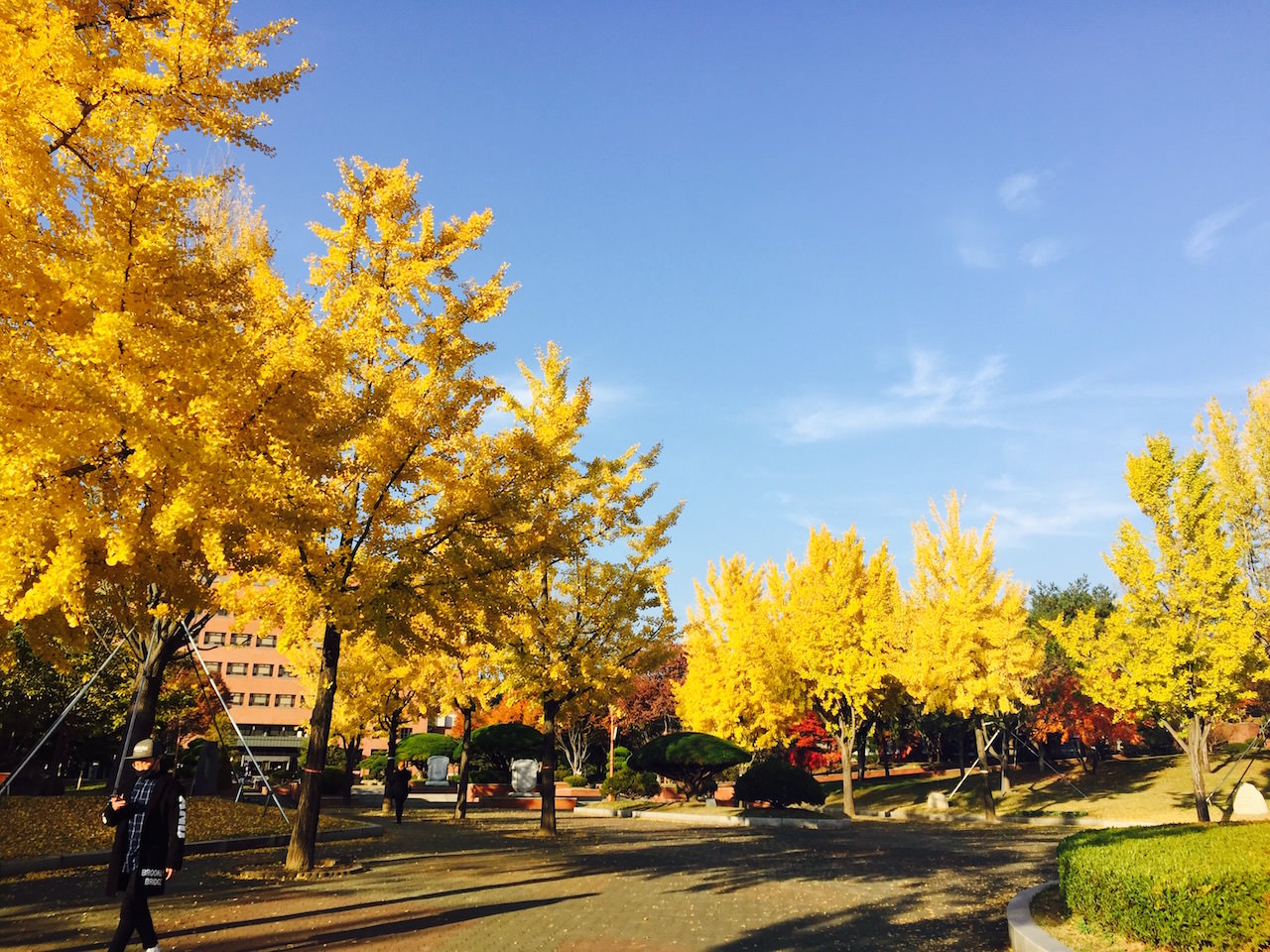 秋日里的中央图书馆