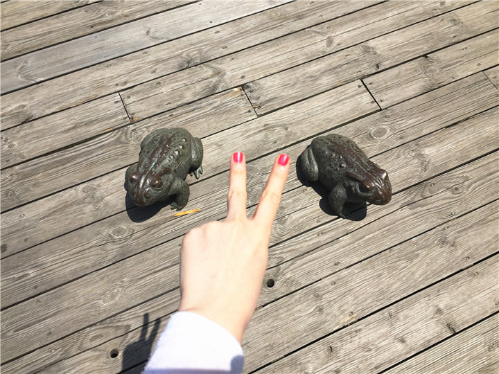 找到地上也有青蛙艺术品