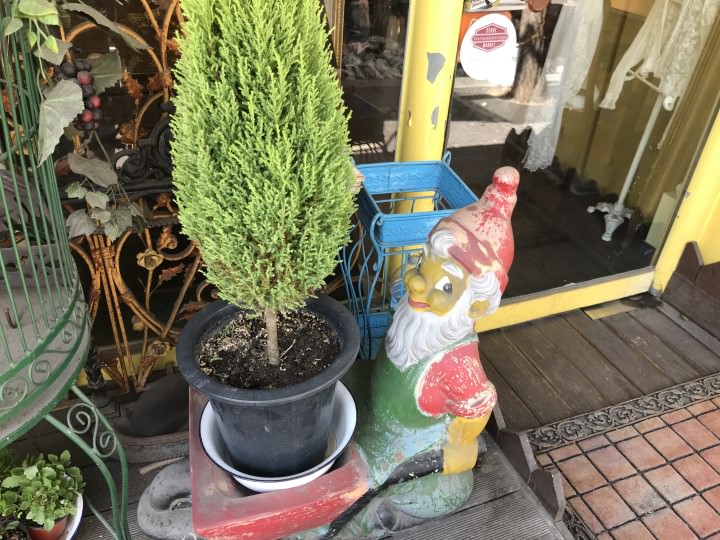 偶遇可爱的小矮人