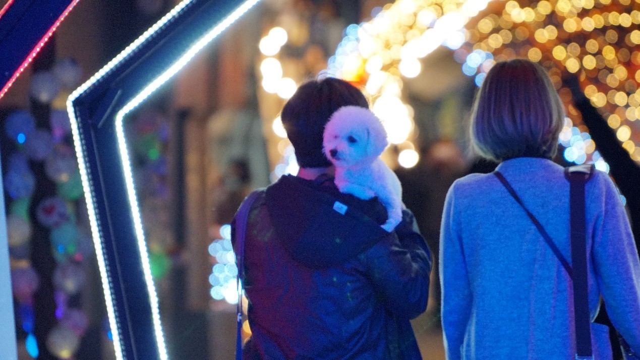 釜山温馨的10月