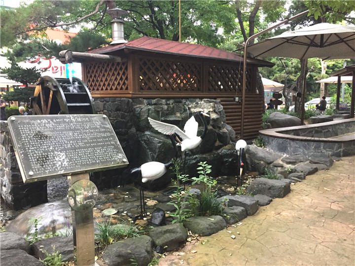 传说中疗伤的鹤