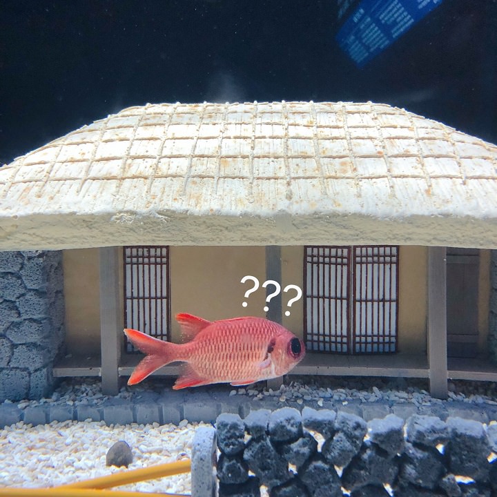 我是谁?我在哪?