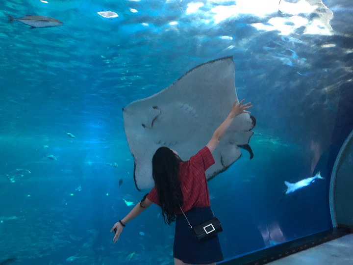 叫啥来着...超可爱的反正...