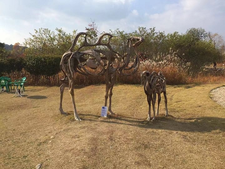 这两句骆驼骨骼揭示了草原生活的凶险和困难,也似乎诉说着即使死亡,也