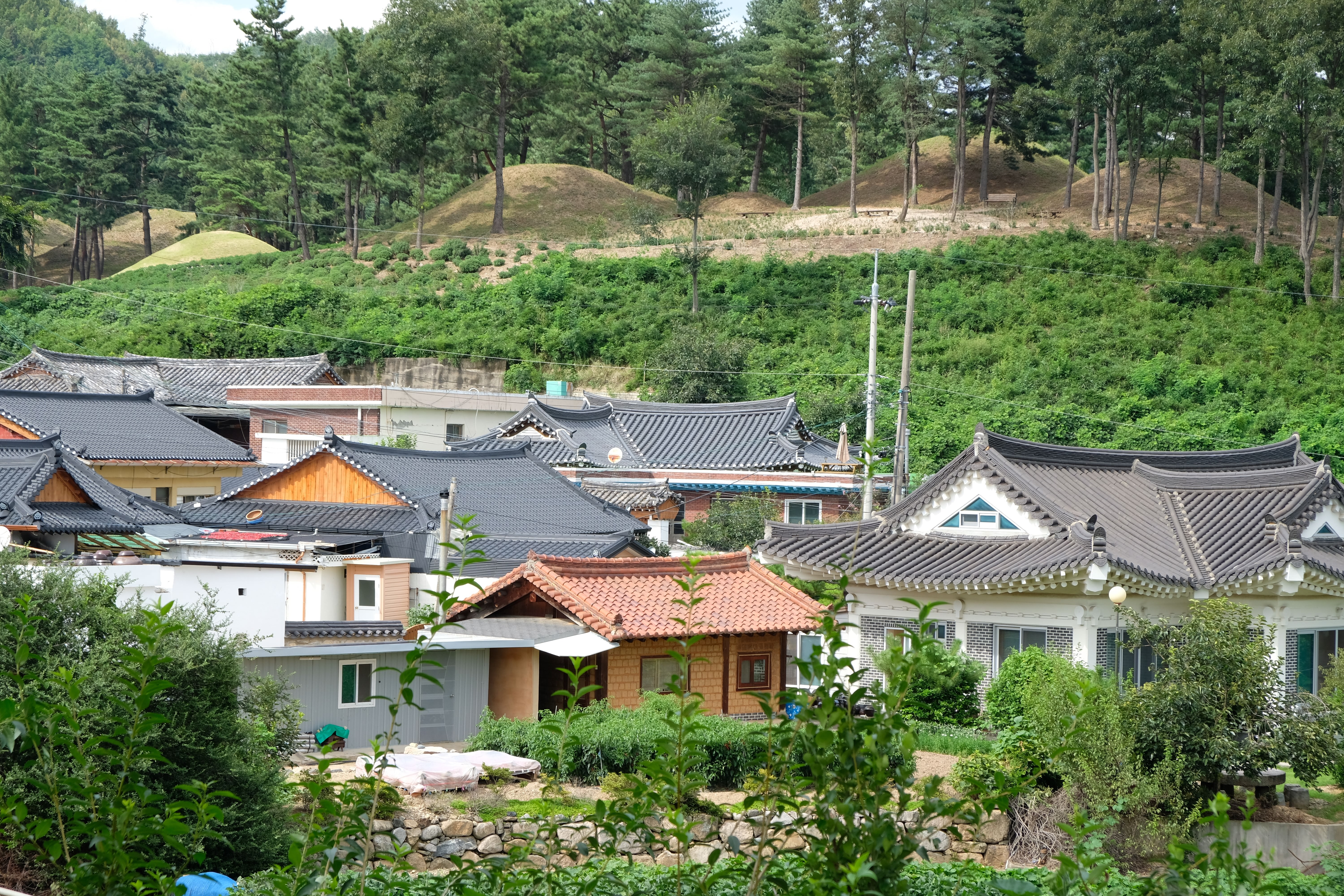 周边是小农村,更像是武烈王陵的守护者.