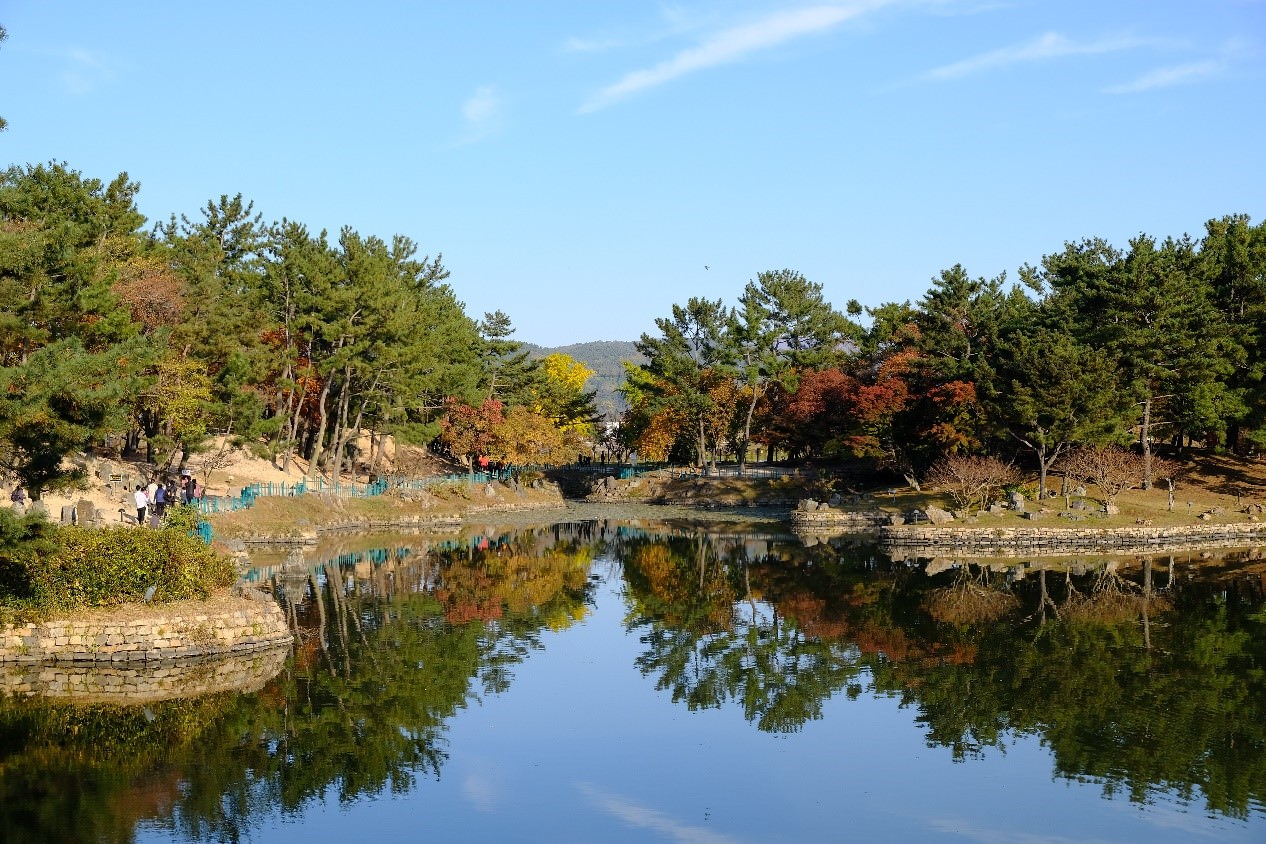 倒映在湖面上的树影也是雁鸭池一景。