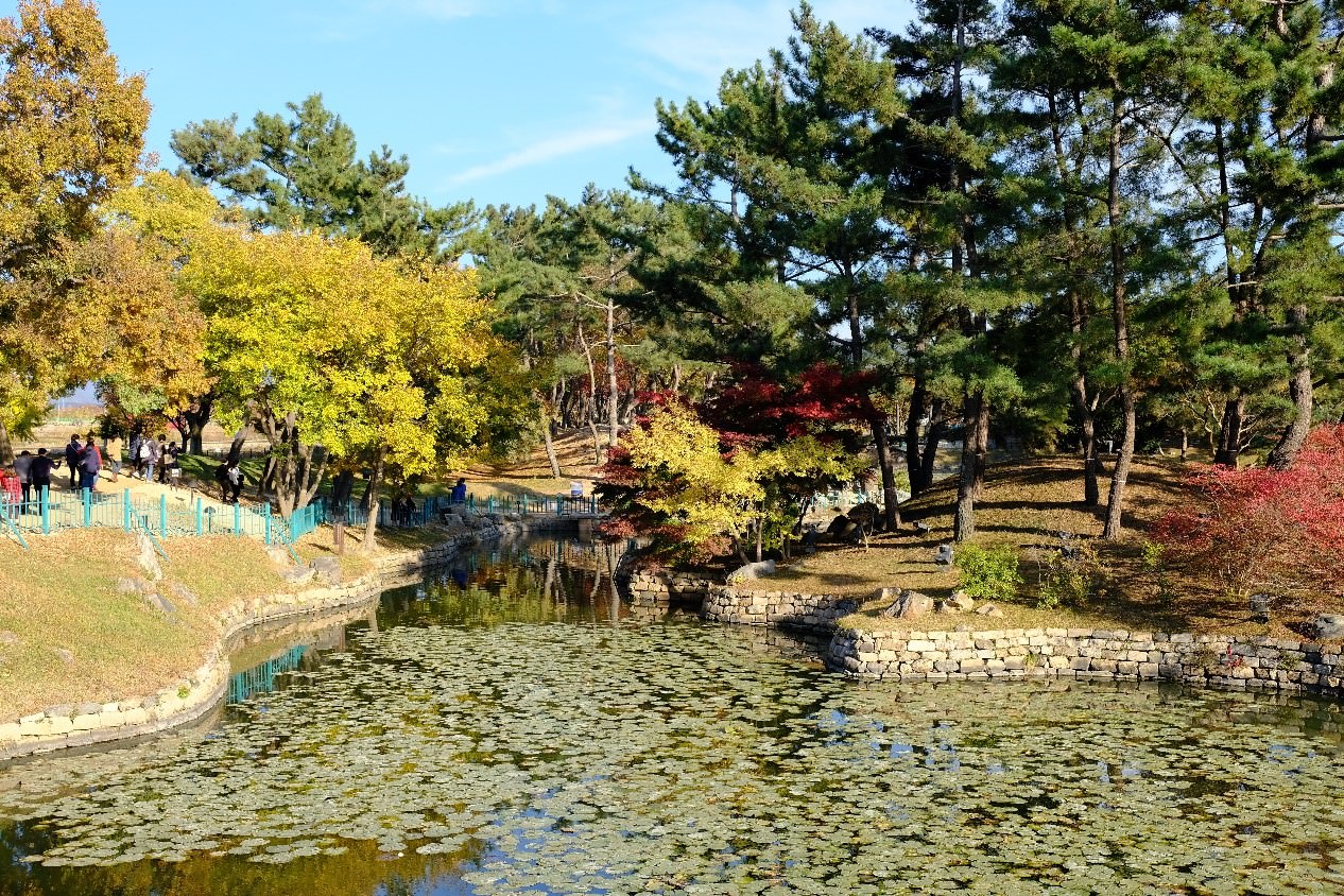 雁鸭池的布局有着非比寻常的韵味。