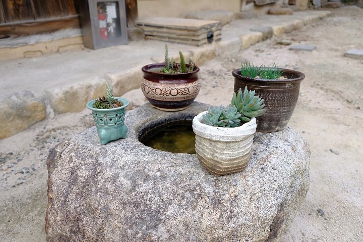 井上摆着的四个盆栽。