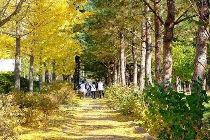 手拉着手漫步在长长的小道上~