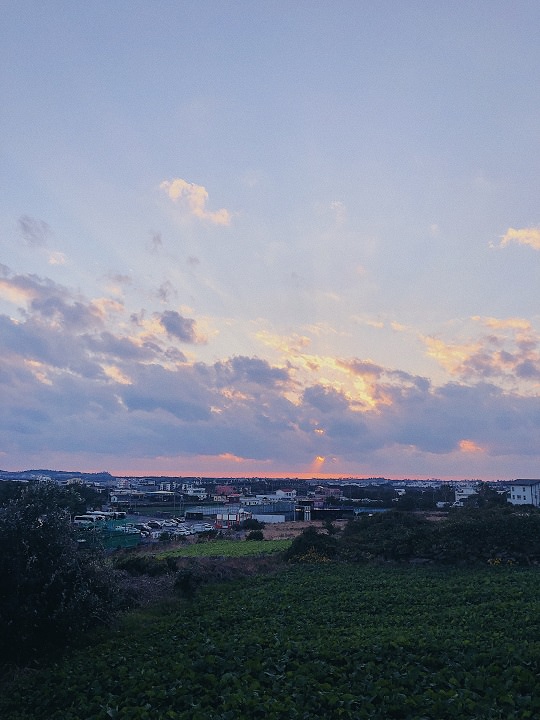 那天的落日也超级美