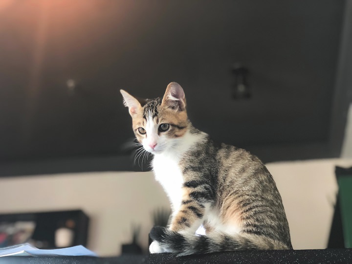 LALA真是太好看了!!!