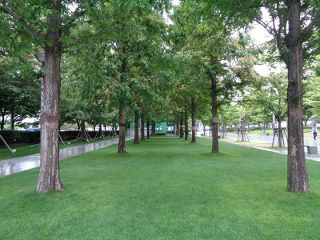 适合散步的林荫绿道