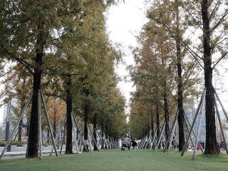 ※照片提供：釜山市釜山镇区厅