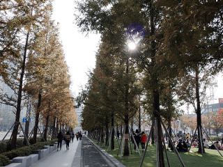 ※照片提供：釜山市釜山镇区厅