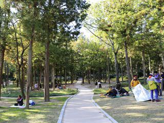 郁郁葱葱的“散步路”，许多人在这里郊游  </br> ※照片提供: 釜山市釜山镇区厅文化观光科