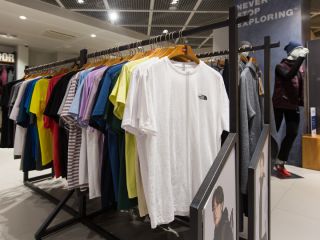 颜色多样的LOGOT恤