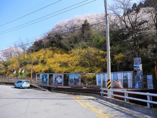 拍照区 ※照片提供：釜山市西区厅安全城市局创造城市科