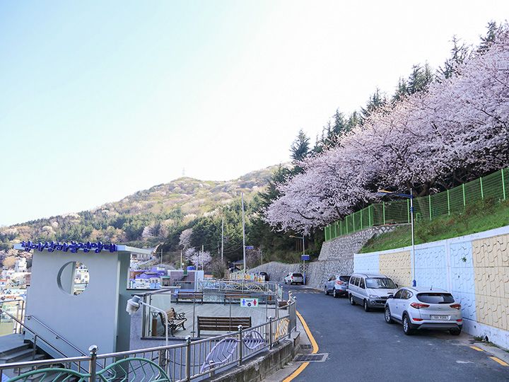釜山天马山 韩国景点推荐 韩国旅游网 韩巢网 釜山天马山 韩国景点推荐 韩国旅游网 韩巢网