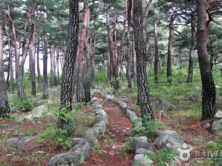 ※照片提供：韩国旅游发展局
