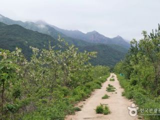 ※照片提供：韩国旅游发展局
