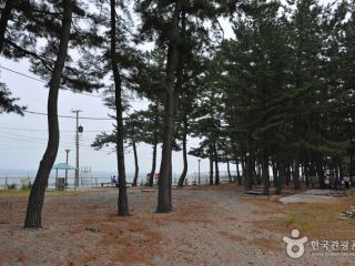 ※照片提供：韩国旅游发展局