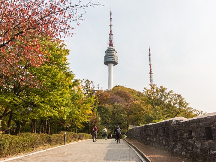 穿过“首尔路7019”的天桥可到达南山公园。大多人都乘坐“南山缆车”前往N首尔塔,但其实沿着城郭旁的楼梯也可以步行到N首尔塔所在的山顶。