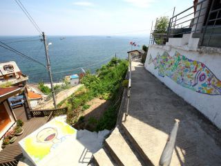 ※照片提供：韩国旅游发展局