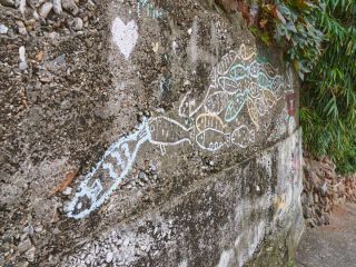 ※照片提供：江原道经济振兴院