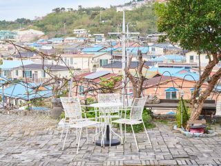 ※照片提供：江原道经济振兴院