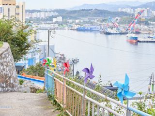 ※照片提供：江原道经济振兴院