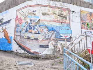 ※照片提供：江原道经济振兴院