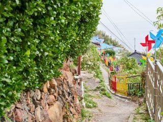 ※照片提供：江原道经济振兴院