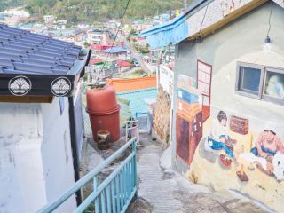 ※照片提供：江原道经济振兴院